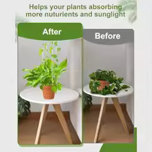 U-Shaped Acrylic Plant Stand | Set of 2 | Indoor Climbing Support | Elegant Trellis