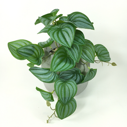 Instant Realistic Greenery with No Maintenance Required
