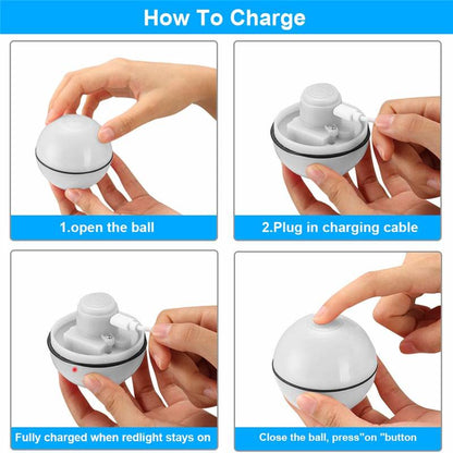 Interactive Smart Ball for Pets