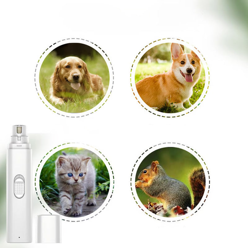 Quiet, Stress-Free Pet Nail Clipping in Minutes