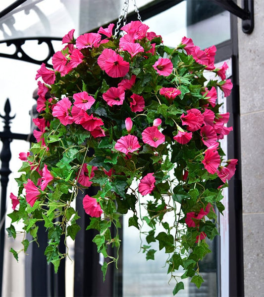 Buy 3, Get 3 Free | Vibrant, Low-Maintenance Color That Lasts