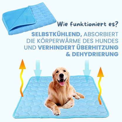 Keeps Your Dog Cool, Calm, and Comfortable All Day