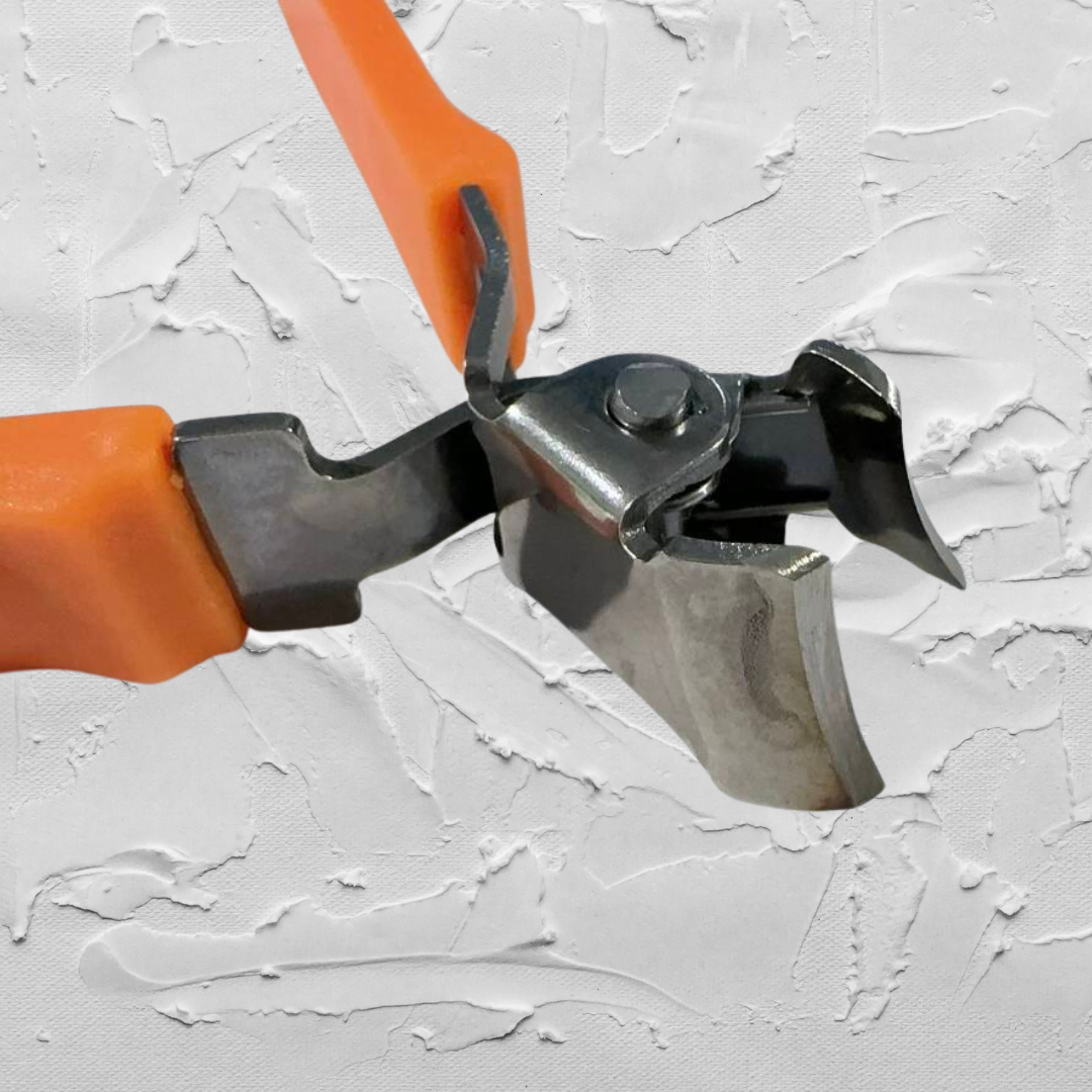 Precision Ingrown Nail Care for Every Trim