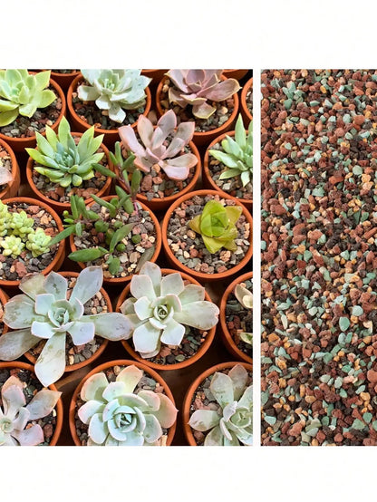 Green Lava Granulate Mix for Succulents & Bonsai - Drainage System | 100g–800g