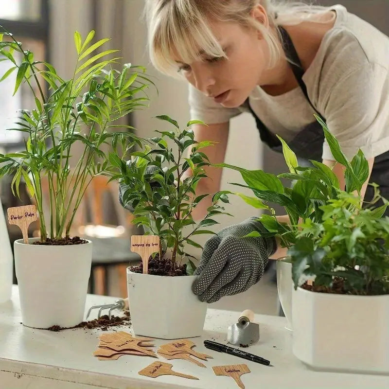 Reusable Wooden Plant Care Labels – Never Forget Your Plants