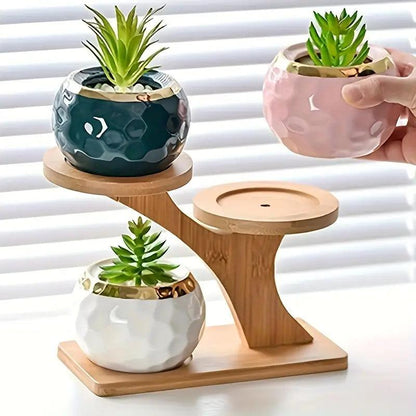 Stylish and Instant Plant Organization and Display with Eco Bamboo
