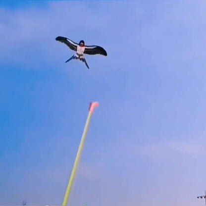 Easily Controllable Kites for Unlimited Outdoor Fun