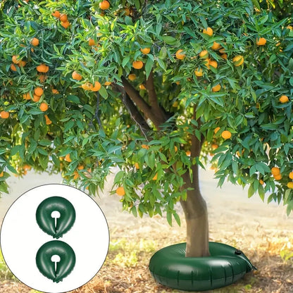 Efficient Deep Root Watering for Healthy Trees