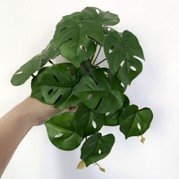 Round Monstera