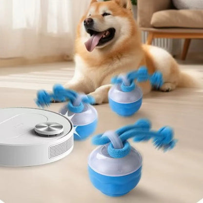 Smart Canine Playball with Interactive Motion | Durable & Engaging Toy for Indoor & Outdoor Fun | Unpredictable Rolling & Jumping | Suitable for All Dog Breeds