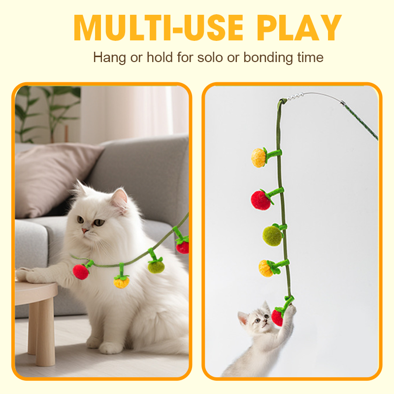 Buy One Get One Free | Keeps Your Cat Active, Happy, and Playful Daily