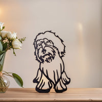 Cockapoo