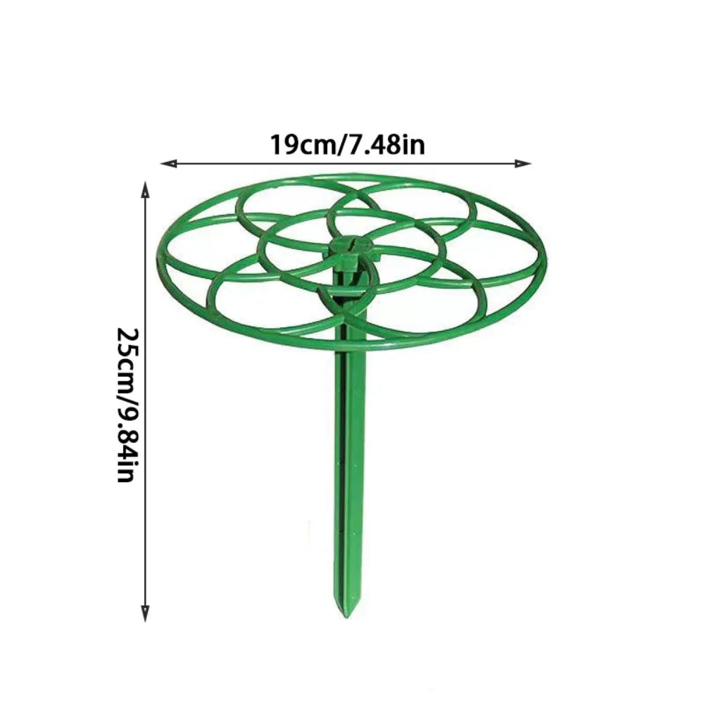Bonsai Climbing Support | Stackable Plant Holder | Plastic 20–25 cm
