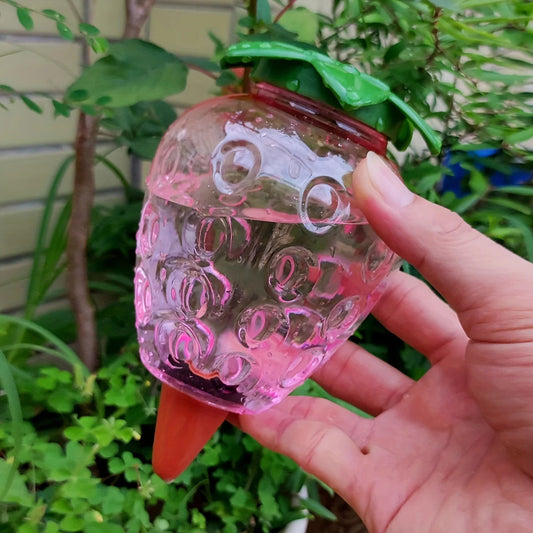 Automatic Plant Drip Irrigation Dispenser Set | 2 Pieces | 500 ml
