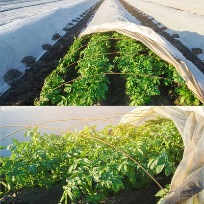 White Plant Protection Fabric - Frost and Insect Barrier, Light-Transmitting