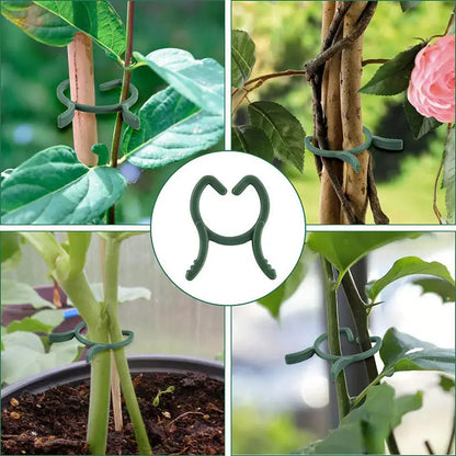 Garden Plant Clips Set with 100/200 Pieces | 3 Sizes | Green Holders