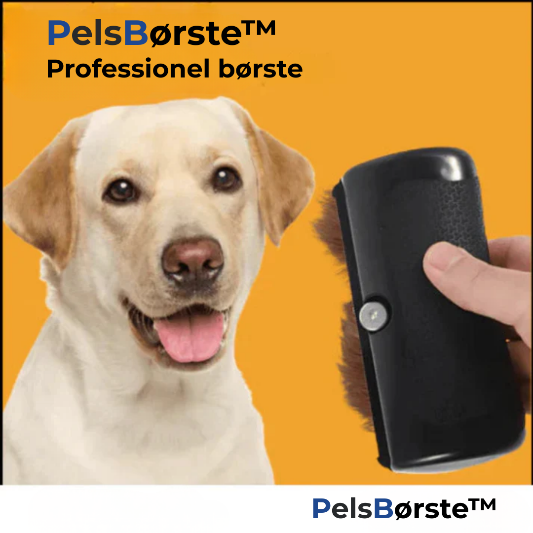 Effortlessly Stop Hair Loss and Fleas for a Cleaner Home
