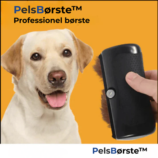 Effortlessly Stop Hair Loss and Fleas for a Cleaner Home