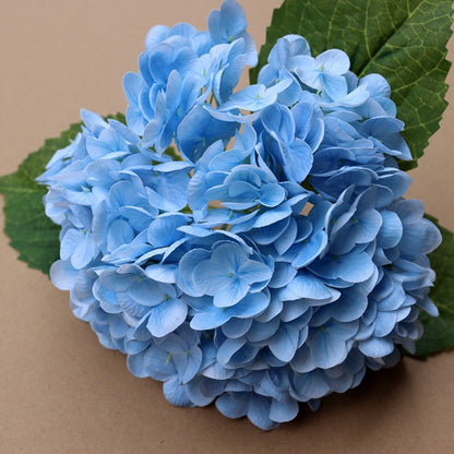 Forever Lively Flowers Without Maintenance - Hydrangea Decoration