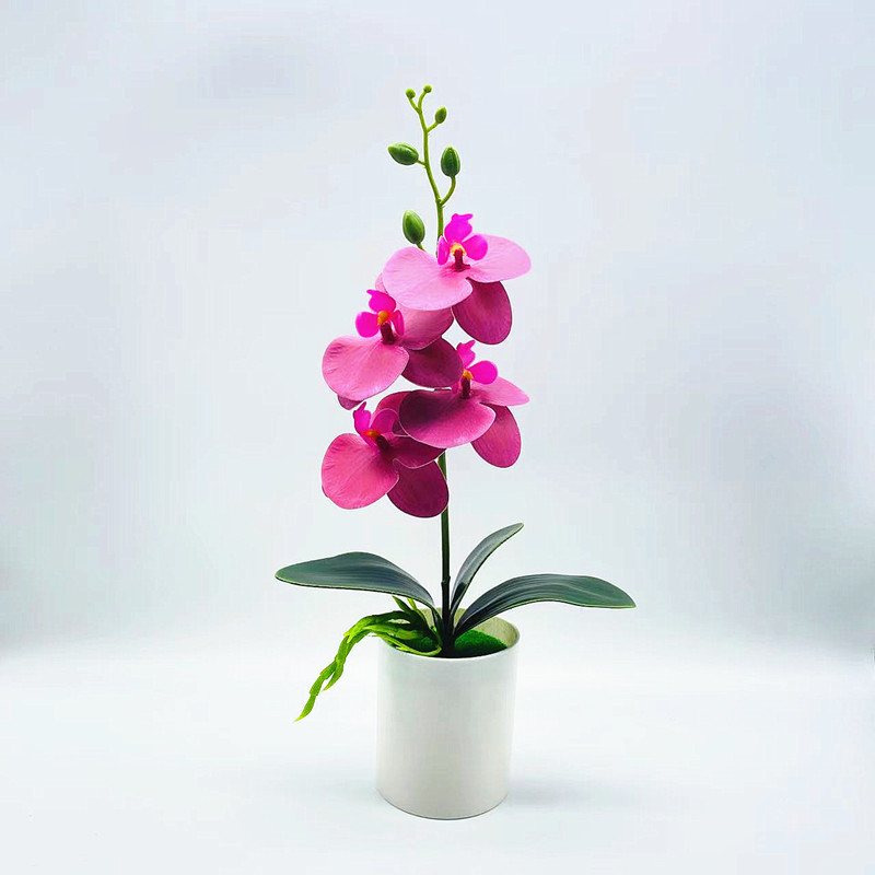 Effortless Elegance with Realistic, Low-Maintenance Orchids