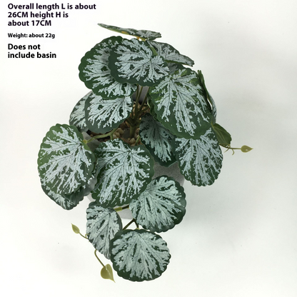 Instant Realistic Greenery with No Maintenance Required