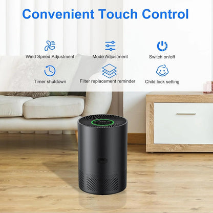 Air Purification System