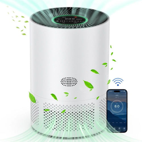Air Purification System