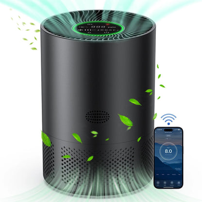 Air Purification System