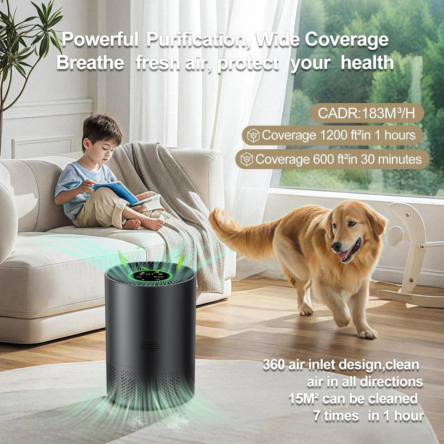 Air Purification System