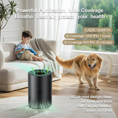 Air Purification System