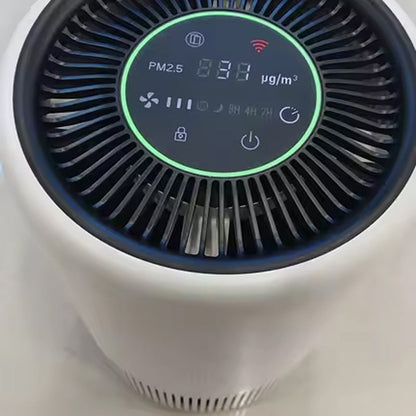 Air Purification System