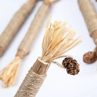 Whisker Wellness Chew Stick: Fun Meets Dental Care for Cats