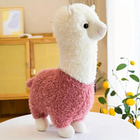 Alpaca Rosa