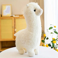 Alpaca White