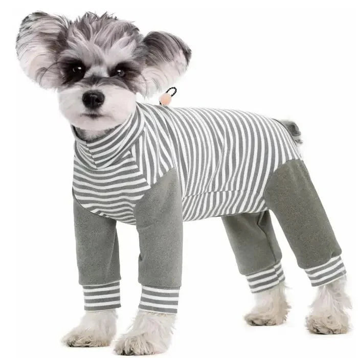 Recovery Suit for Dogs – Anti-Licking Design