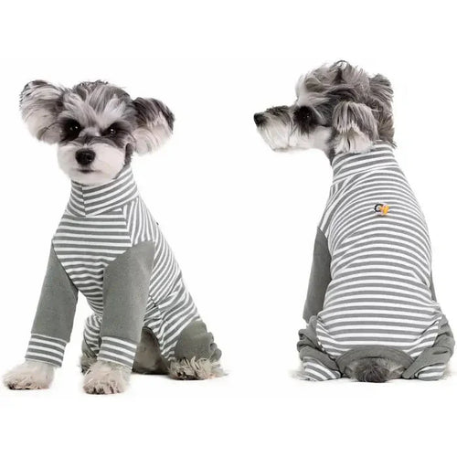Recovery Suit for Dogs – Anti-Licking Design