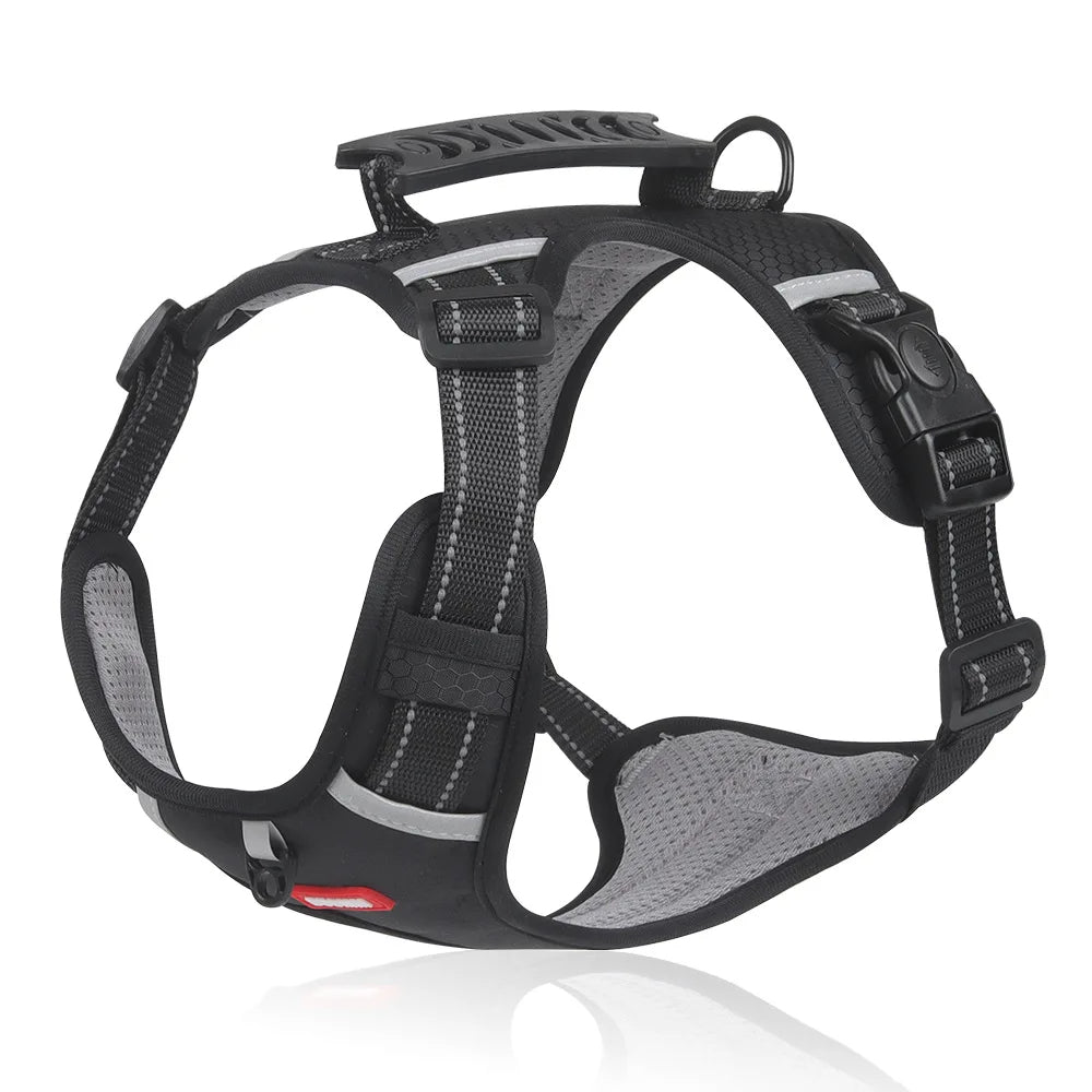 FlexiFit Adjustable Dog Harness for Active Pets