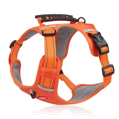 FlexiFit Adjustable Dog Harness for Active Pets