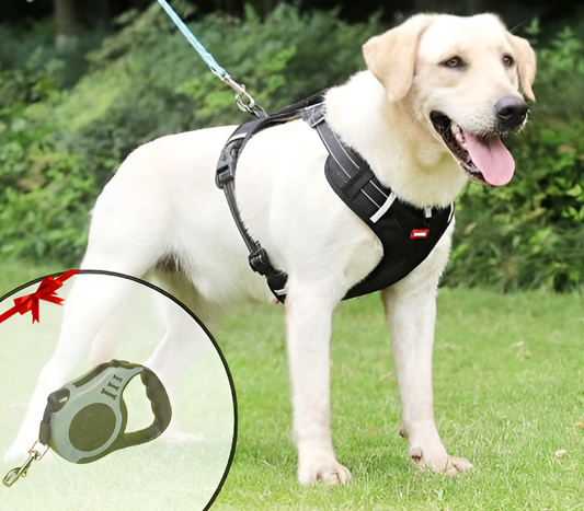 FlexiFit Adjustable Dog Harness for Active Pets