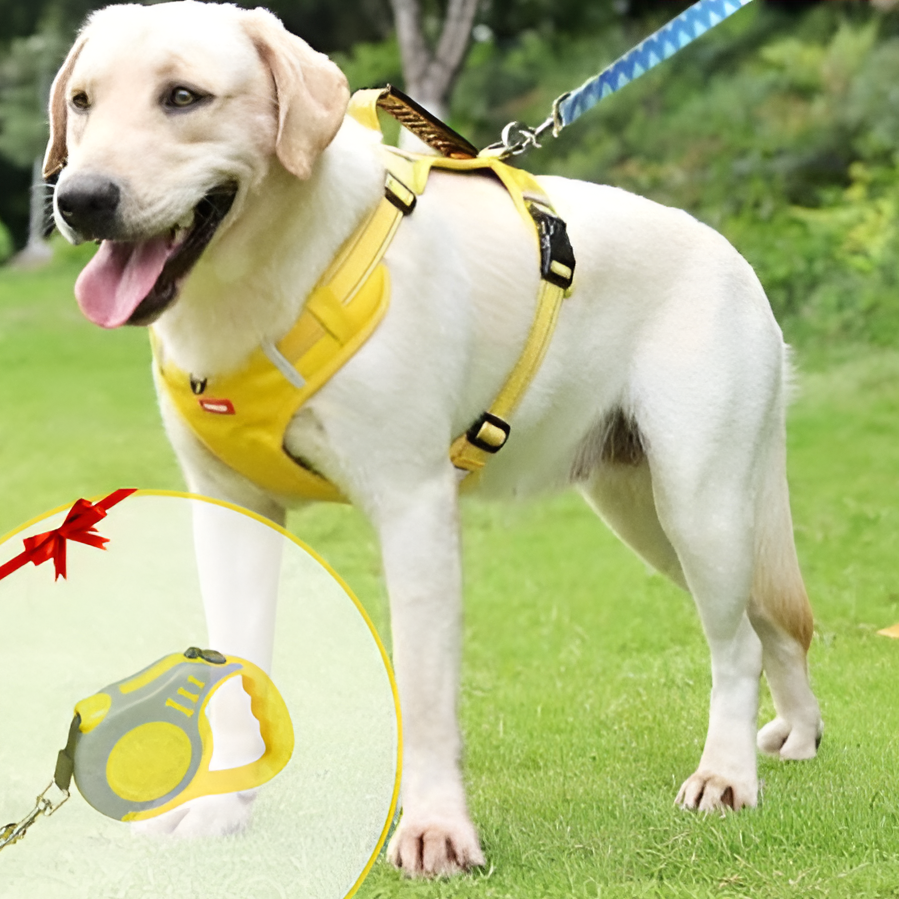 FlexiFit Adjustable Dog Harness for Active Pets