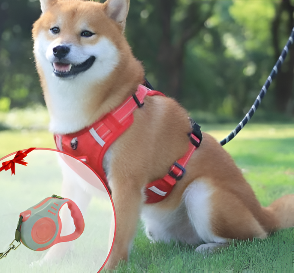 FlexiFit Adjustable Dog Harness for Active Pets