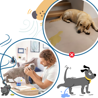 Pet Anxiety Relief Solutions