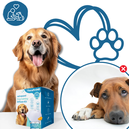 Pet Anxiety Relief Solutions