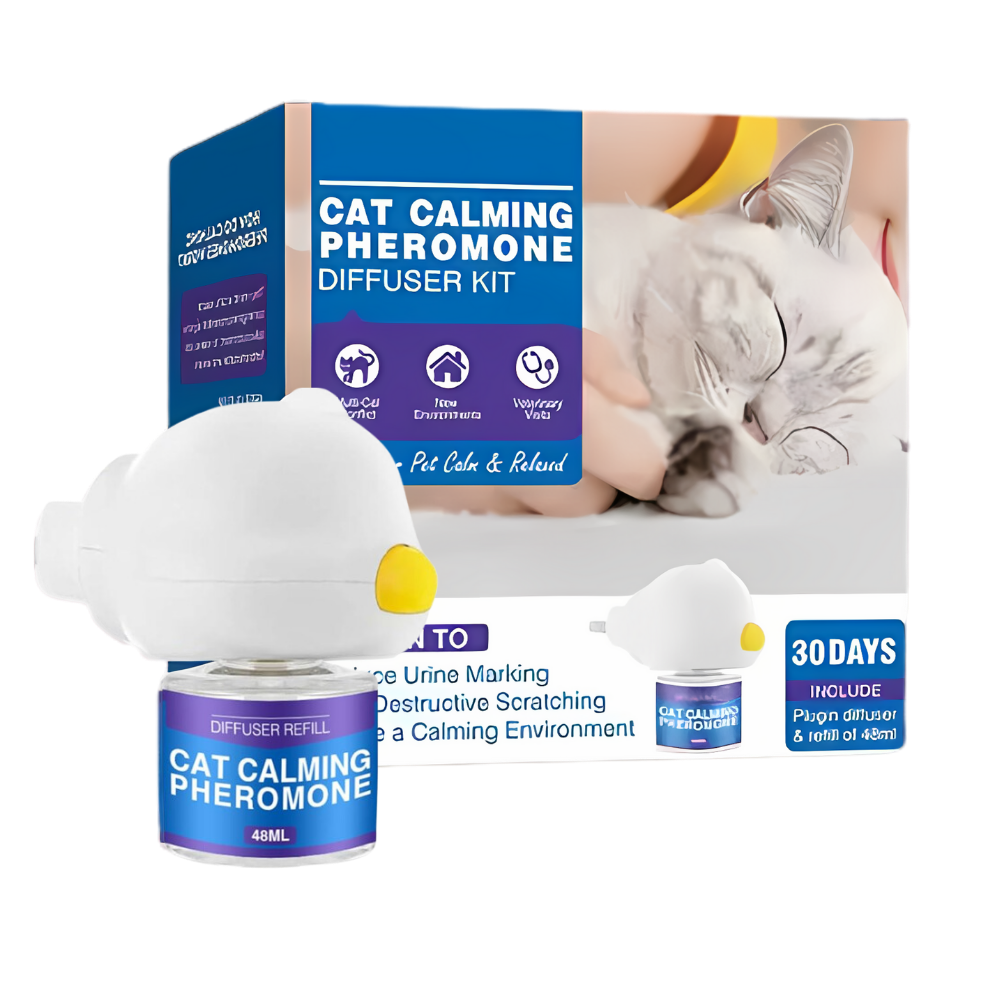 Pet Anxiety Relief Solutions