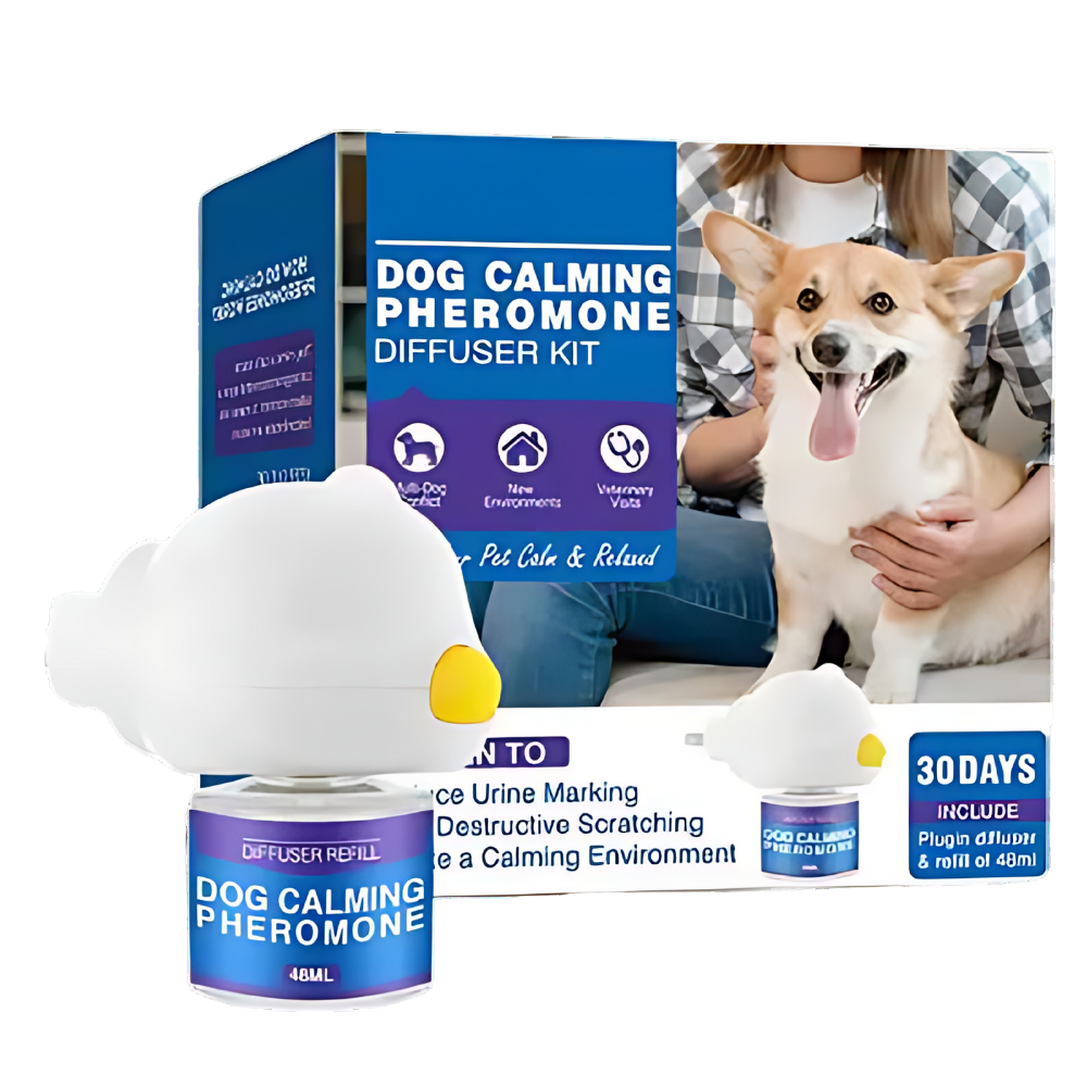 Pet Anxiety Relief Solutions