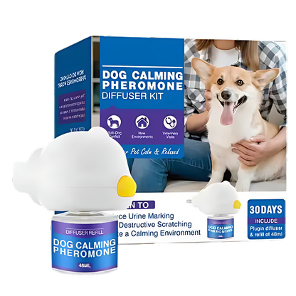 Pet Anxiety Relief Solutions
