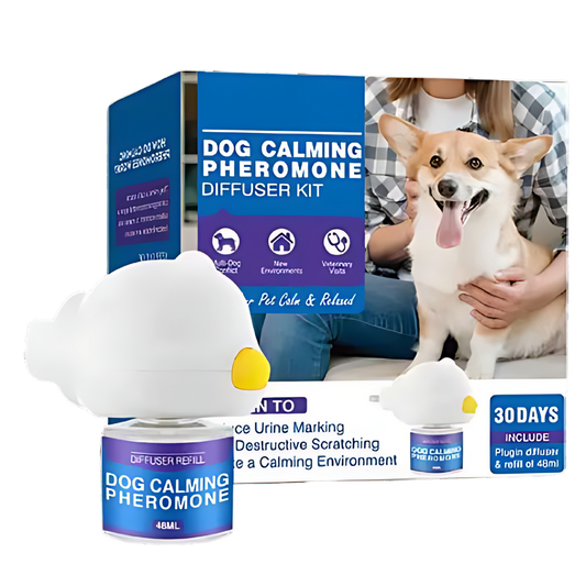 Pet Anxiety Relief Solutions