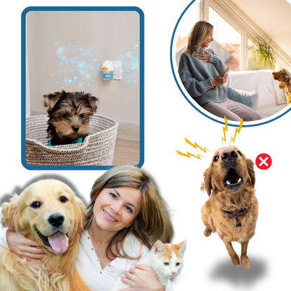 Pet Anxiety Relief Solutions