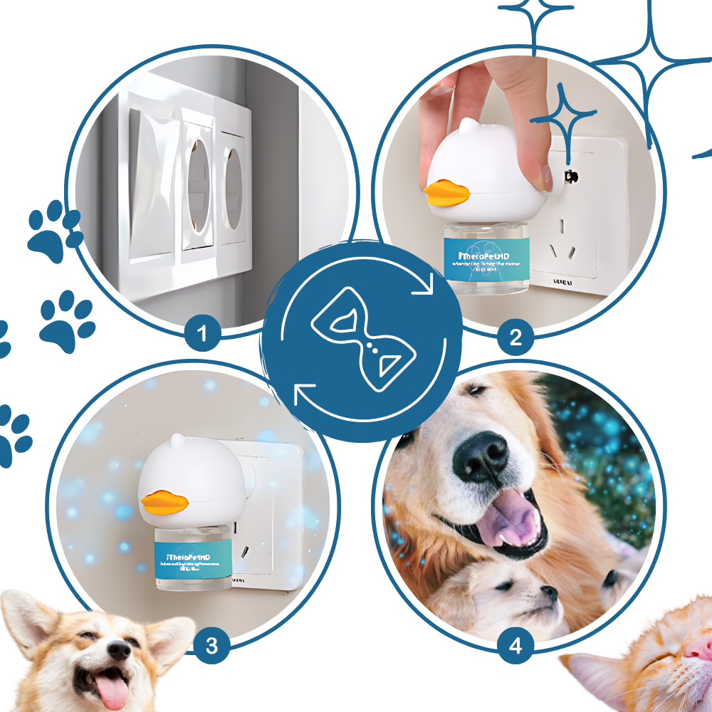 Pet Anxiety Relief Solutions