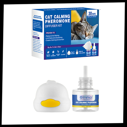 Pet Anxiety Relief Solutions